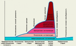 urnik žensko vzburjenje
